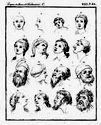 1781, Taf. VIII, S. 61