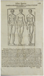 Della Porta, S. 167
