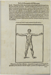 Della Porta, S. 167 v