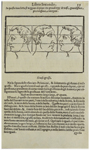 Della Porta, S. 55