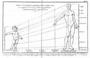 Martinet, Taf.4: Wachstum und Proportionen