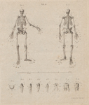 Mayer, Atlas Titelblatt 1783