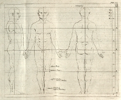 Lairesse, Taf. 3