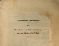 Weber 1836, Atlas Titelblatt