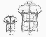 Rochet, Fig. 3-4